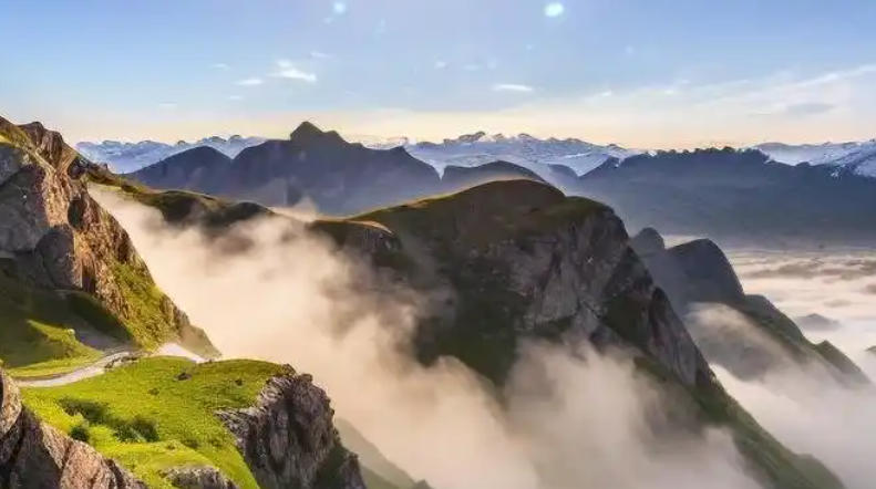 广西诚科顺检测技术有限公司轮播图1