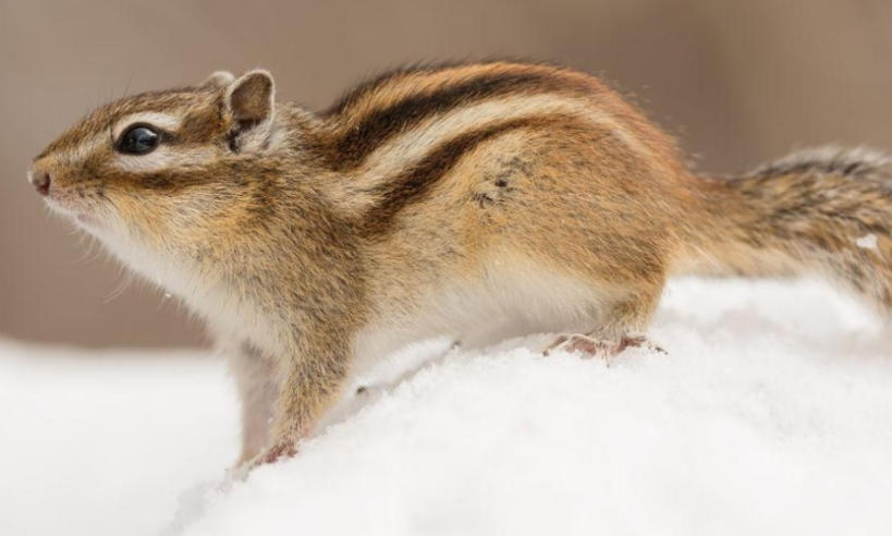 广西诚科顺检测技术有限公司轮播图2