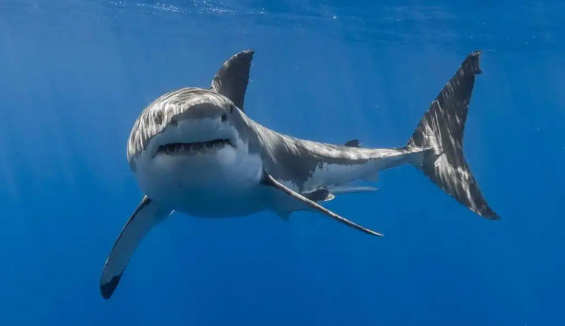 广西诚科顺检测技术有限公司轮播图1